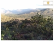 LOTES EM ÁREA NOBRE COM VISTA